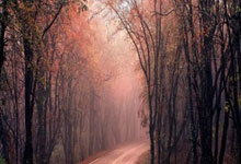 开云体育入口-最新世界杯：德国止步掘金！技术统计揭开钢铁战车熄火真相