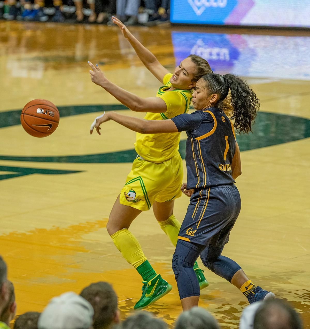 开云体育app-丹麦队险胜德国队，黄鸭组合关键制胜