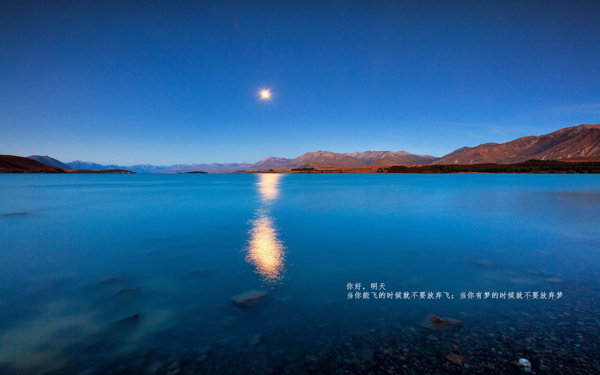 孤胆列车长与寂静铁轨，当希腊的午夜列车碾过墨西哥的蓝色浪潮