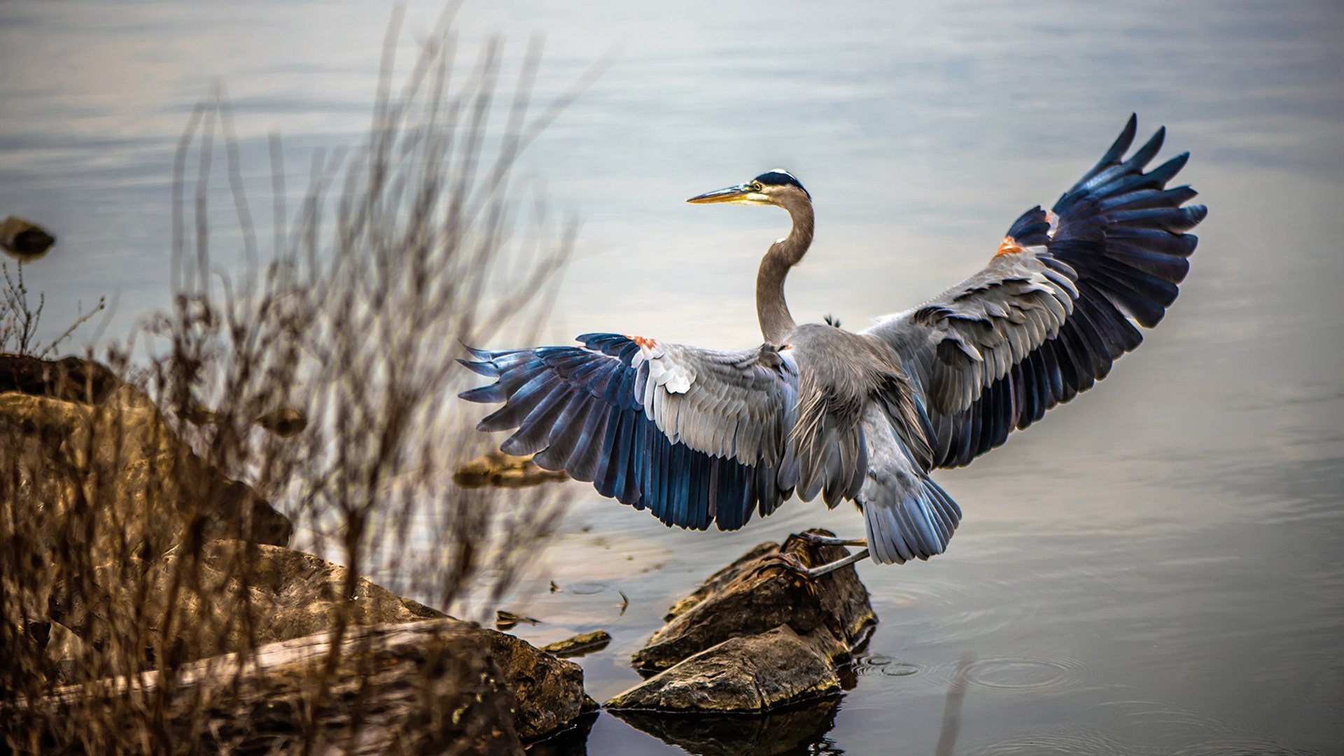 开云体育入口-隔空对话，当火箭打穿北京队，字母哥如何成为关键先生？