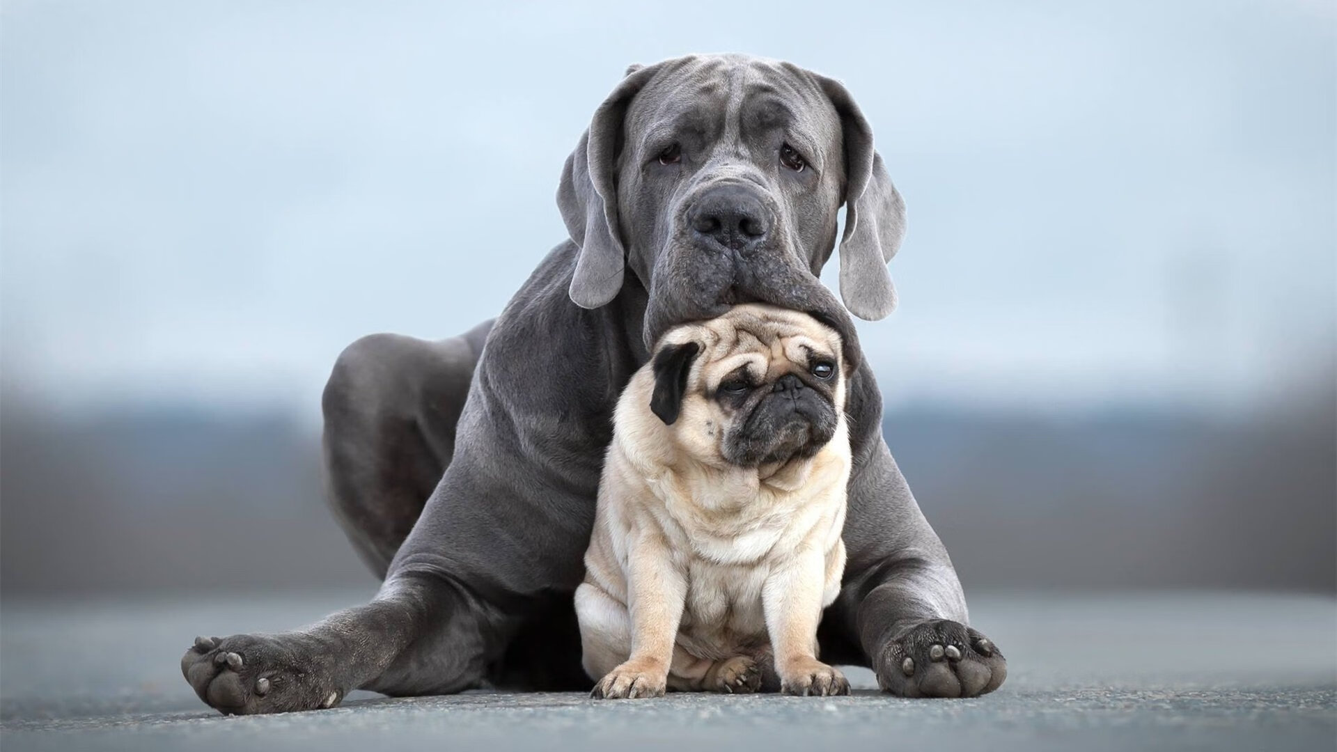 开云体育APP下载-独裁者之夜，内马尔用大场面权杖，亲手将莱比锡红牛碾为塞维利亚的尘埃