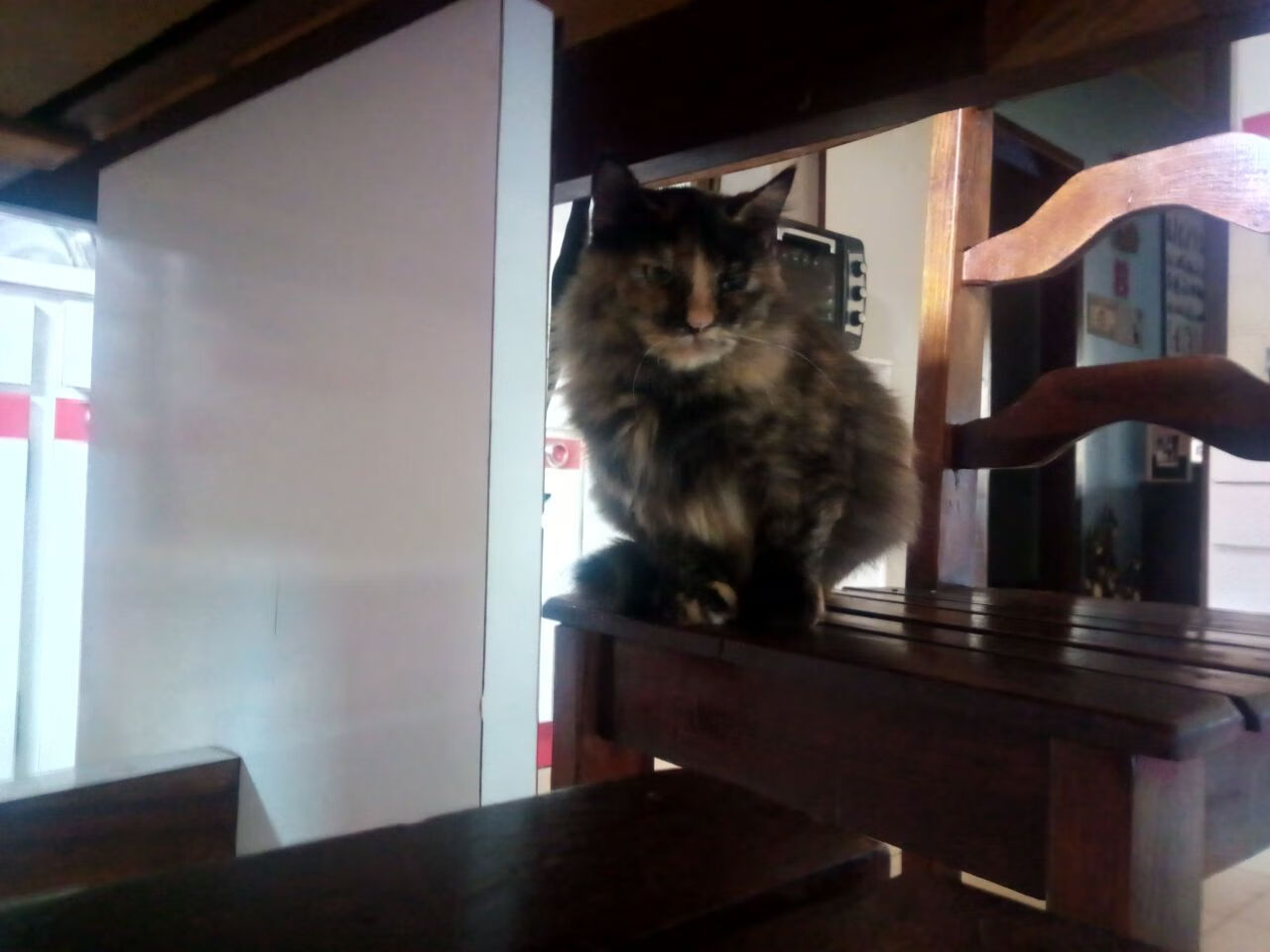 夜幕下的雕塑家,蒂亚戈如何用一记绝杀镌刻NBA历史