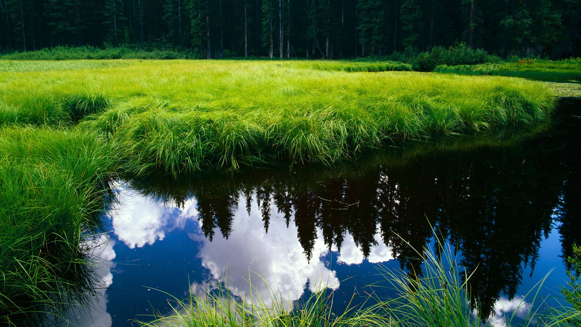 开云体育中国-绿茵镜面，当赖斯在战争隐喻中照见日本足球的倔强灵魂