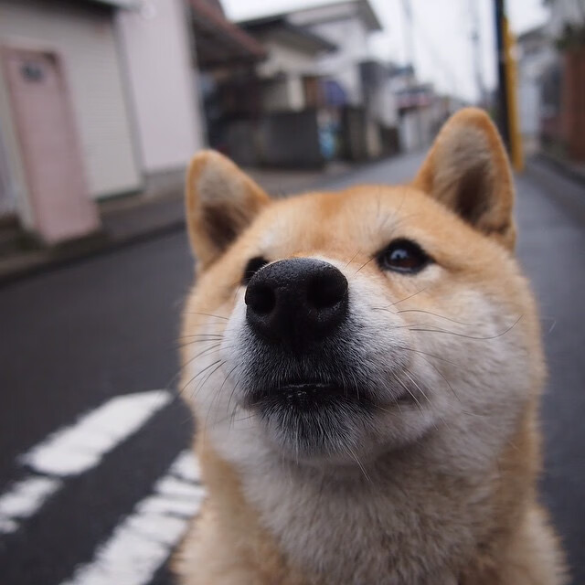 淬火之战,上海加时克热浪,恩比德登顶霸权争夺