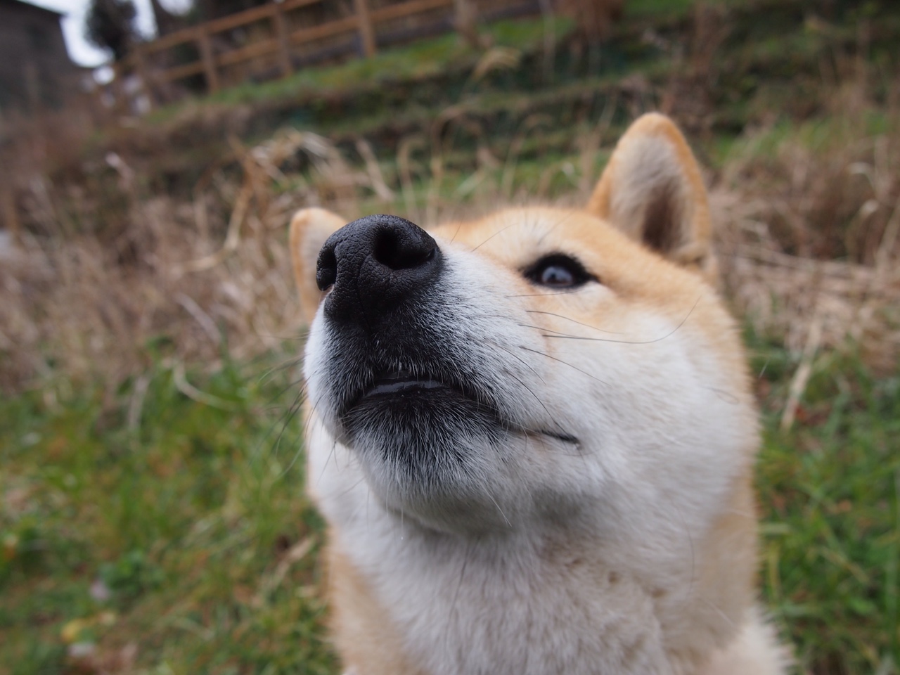 跨界盛典,曼城单节击溃澳大利亚,梅西足球思维成篮球场关键先生