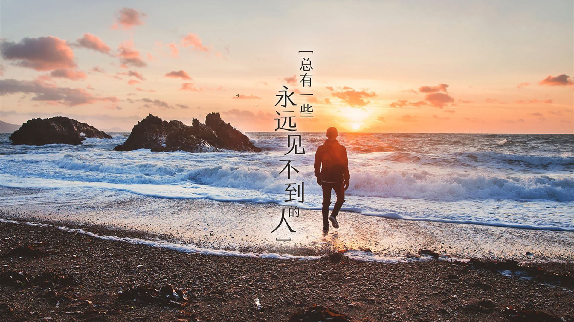 围城下的新王,森林狼铁血晋级与切特的欧洲加冕礼