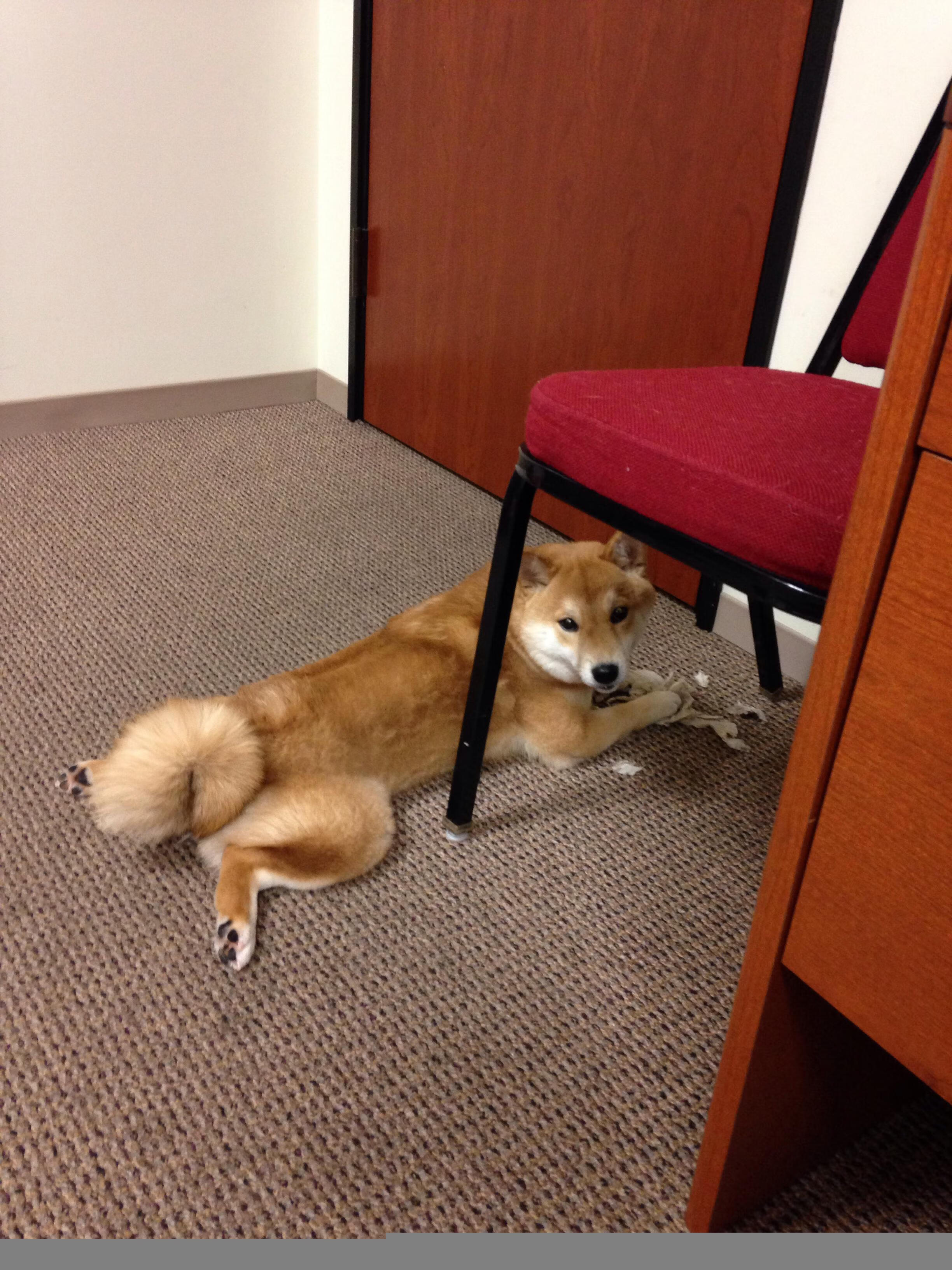 独舞决定天平，在英超争冠之夜，布伦森完成了现代足球的终极命题