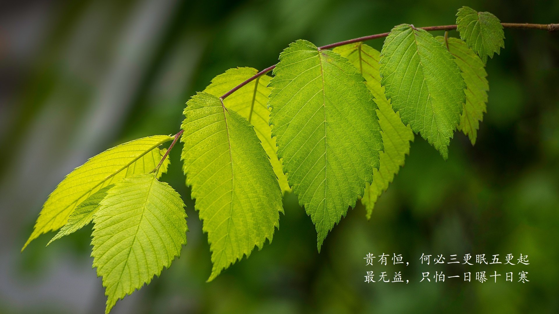 加纳vs南非，争议与奇迹之夜，黄喜灿一击定乾坤